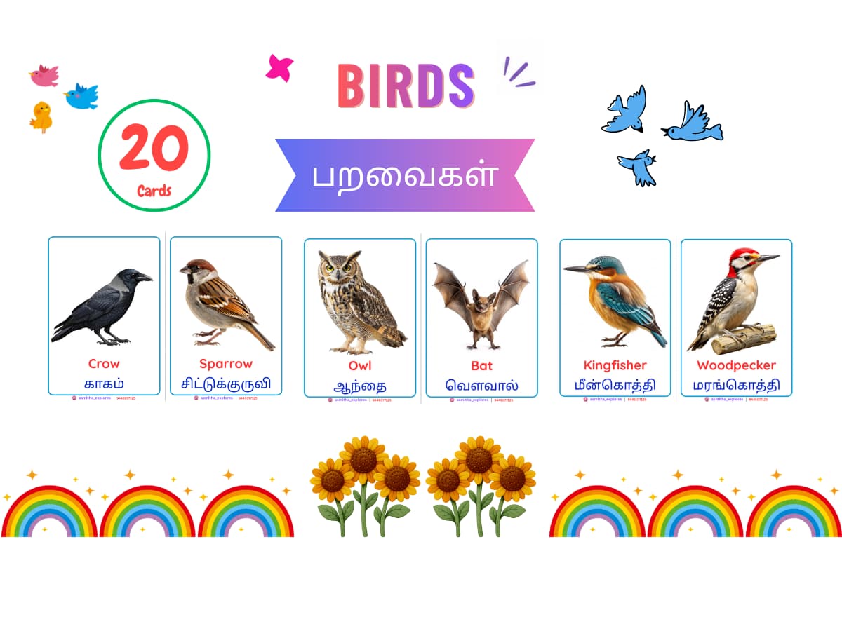 Birds Flash Cards