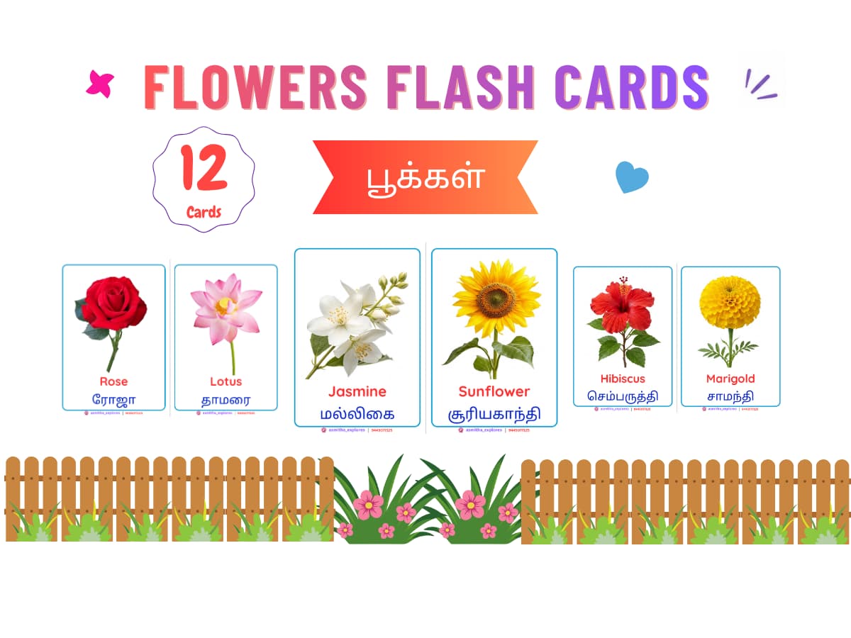 Flowers Flash Cards
