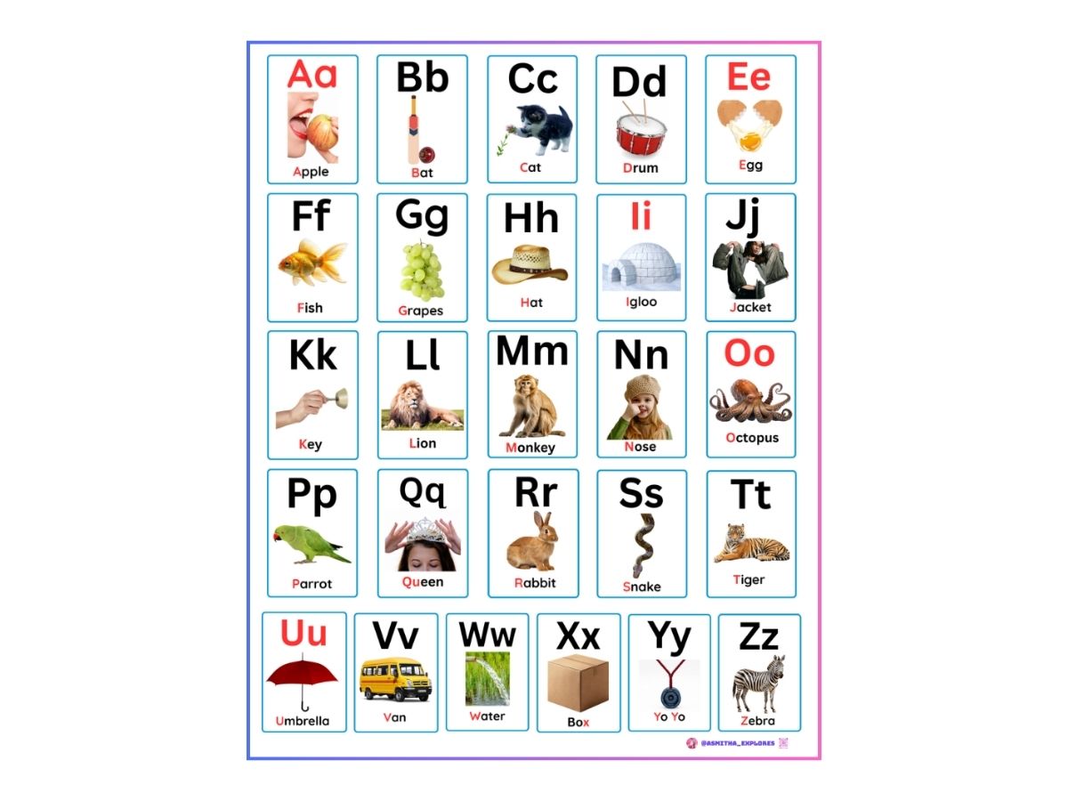 Phonics Flash Cards - Banner