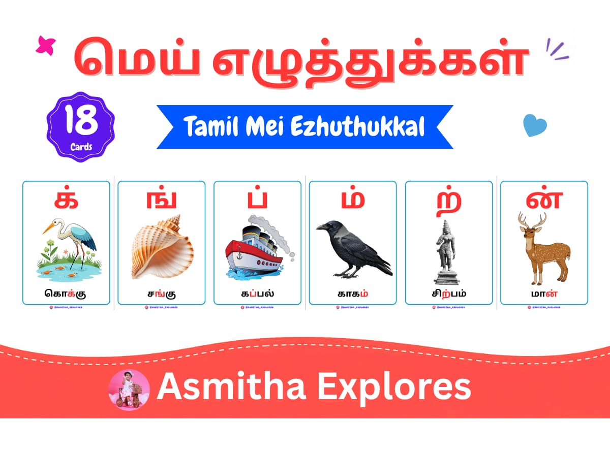 Tamil Mei Eluthukkal Flash Cards