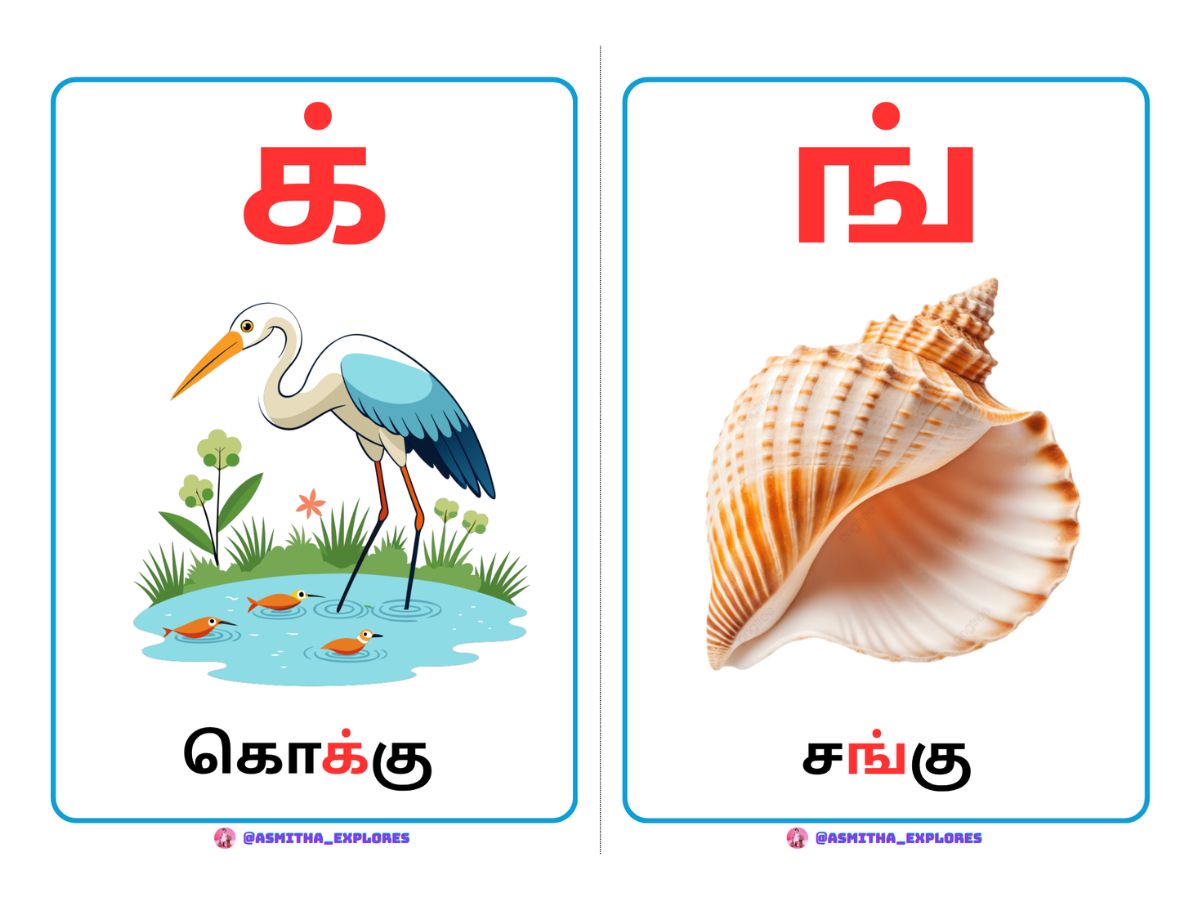 Tamil Mei Eluthukkal Flash Cards