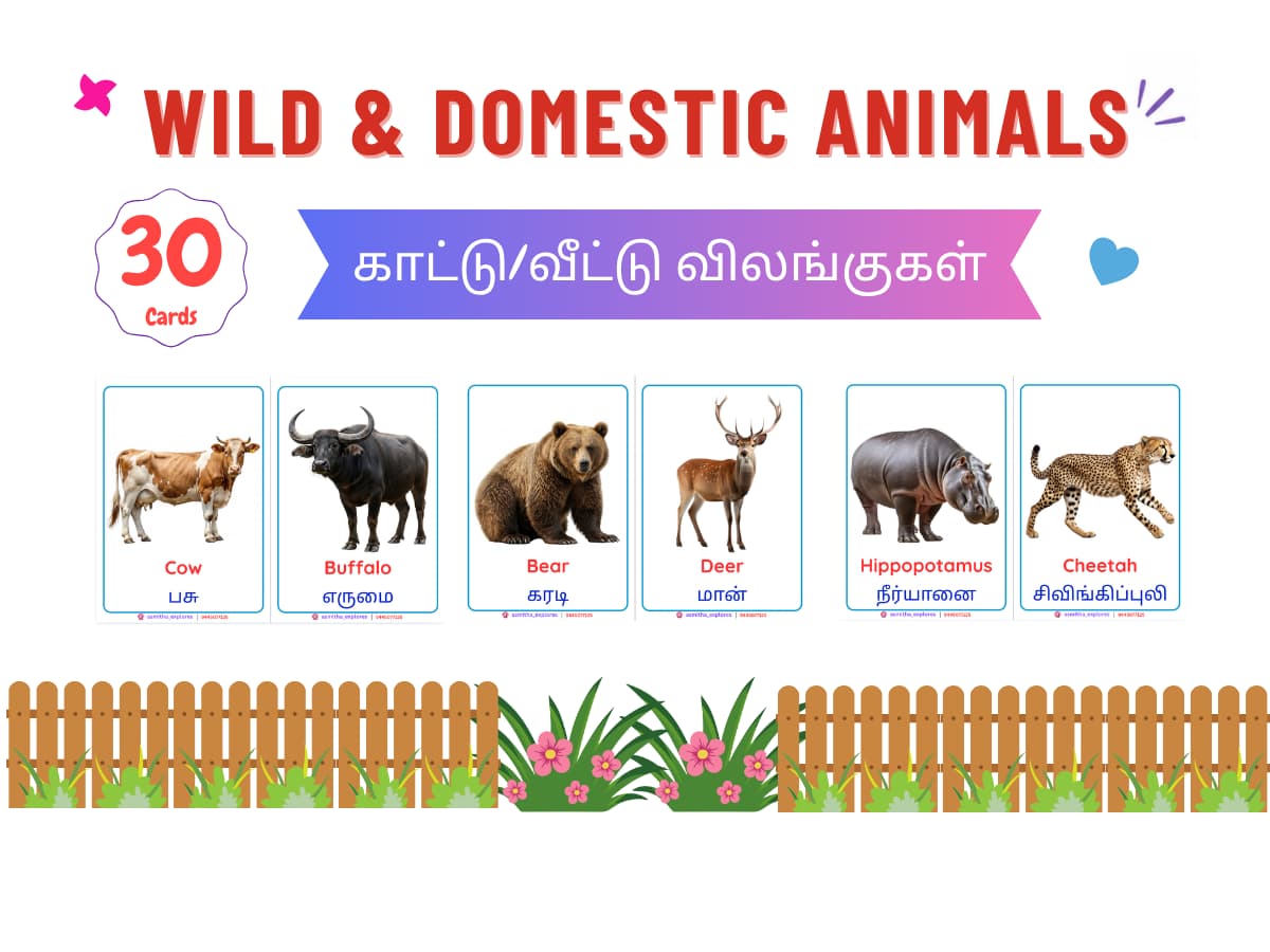 Wild & Domestic Animals Flash Cards